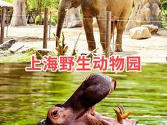 -上海野生动物园