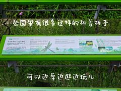 -西湖风景区-江洋畈生态公园