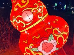 -南宫五洲植物乐园