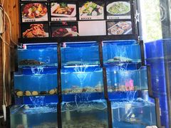 水产区-老东镇啤酒屋海鲜加工·蒸汽海鲜·海鲜烧烤(台东店)