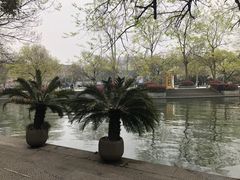 -星巴克(西湖天地店)
