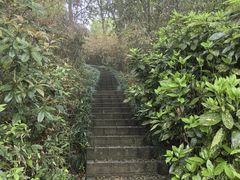 -上海月湖雕塑公园