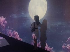 -火影忍者动画多媒体展