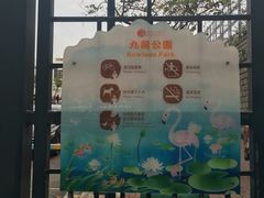 -九龙公园