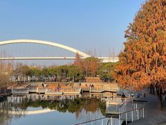 -肖四女乐山跷脚牛肉(世博源店)