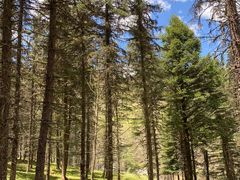 -硗碛藏寨·神木垒景区