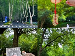 -灵谷景区