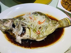 -燕春楼(海河华鼎店)