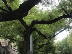 -后海公园
