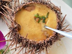 海胆-日月昇渔家菜·海肠捞饭·大连海鲜(星海公园店)