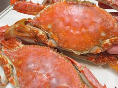 -粤盛海鲜平价店(洛溪食街店)