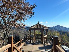 -大岭沟猕猴桃谷风景区