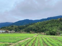 -福建土楼(南靖)景区