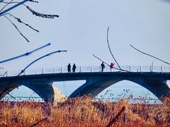 -贡湖湾湿地公园