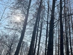 -上海海湾国家森林公园