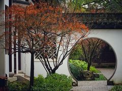 -上海醉白池公园