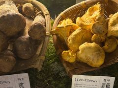 -滇野云南野生菌餐厅(陕西南路店)