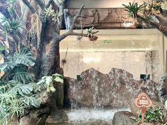 -芸山季·云南山珍菌火锅(南翔印象城MEGA店)