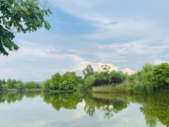 -苏州太湖国家湿地公园