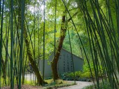 -兰亭风景区