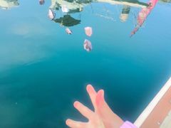 -五缘湾游艇帆船俱乐部