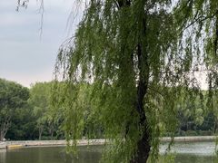 -北陵公园