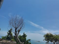 -海之鲜大排档(东山海鲜金銮湾店)