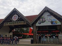 -上海海湾国家森林公园