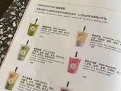 -油梨树AVOCADO TREE(顺义新国展店)