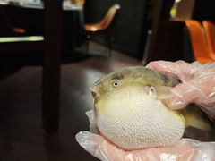 -肆月河豚·淮扬菜·湘菜(华天店)