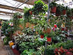 -秦美花卉(天朗·莱茵小城2期店)