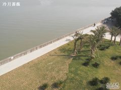 -大湾区中央湿地公园