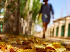 -艾提尕尔清真寺