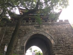 -老号尤兔头(幸福店)