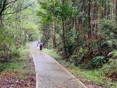 -青龙山国家森林公园