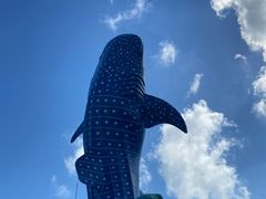 -珠海长隆海洋王国