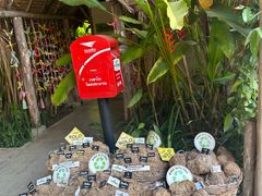 -大象粑粑造纸公园