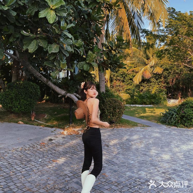 三亚旅游｜人均100入住超ins椰林🌴 
