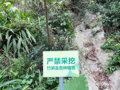 -阳台山森林公园