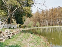 -汉水公园