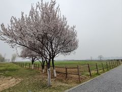 -汉长安城未央宫国家考古遗址公园