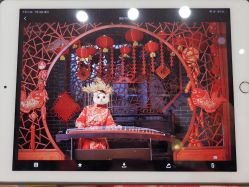-金夫人婚纱摄影(华南店)