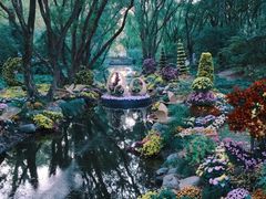 -上海共青森林公园