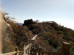 -大岭沟猕猴桃谷风景区