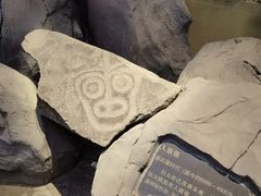 -包头博物馆
