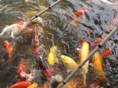 -呀诺达热带雨林