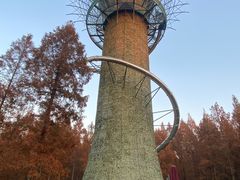 -黄海国家森林公园