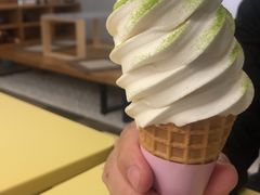 香草冰淇淋-王守财小山園