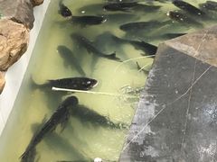 -春盛渔府(牛首山店)