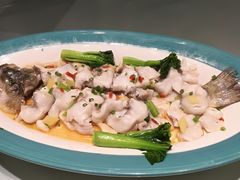 鲈鱼-广东道至正餐厅(区庄店)